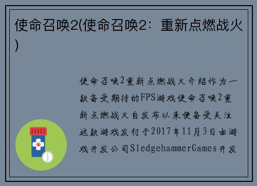 使命召唤2(使命召唤2：重新点燃战火)