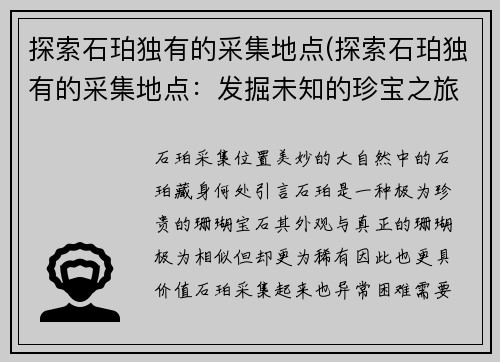 探索石珀独有的采集地点(探索石珀独有的采集地点：发掘未知的珍宝之旅)